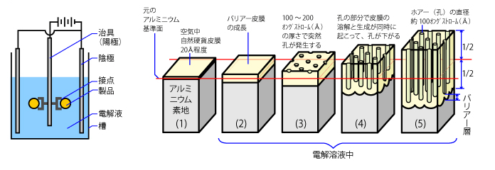 アルマイトって何 柏都電機工業株式会社